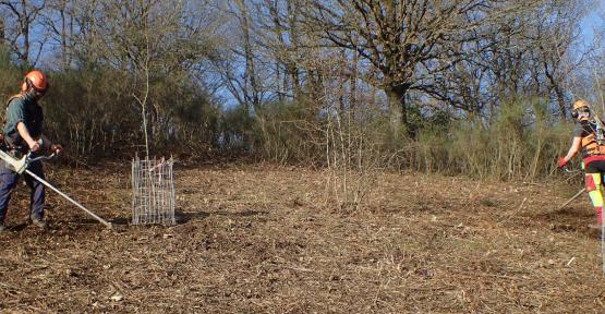 Gestion en réserve naturelle