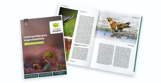 Le magazine Natagora n°126 - L'extraordinaire improbabilité de la vie sur Terre !