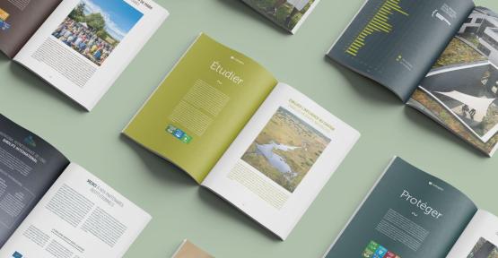 Téléchargez et parcourez notre rapport annuel 2024.