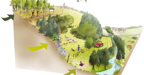 Dessin LIFE Connexions