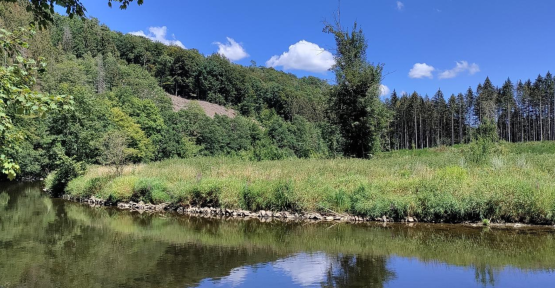 Vallée de la Semois en été 