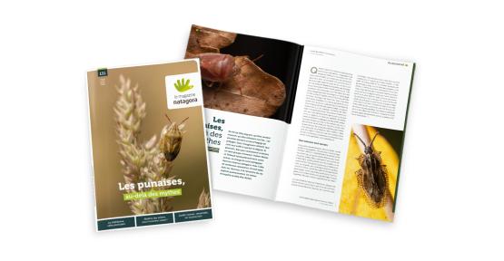 Couverture du magazine Natagora 131