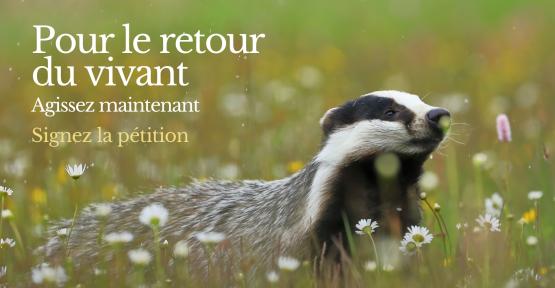 Pour le retour du vivant