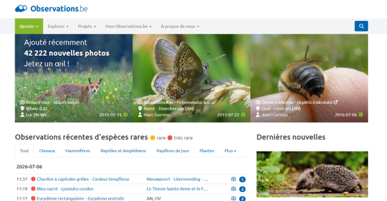 Vue sur Observations.be