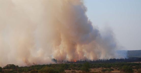 Incendies fAGNES