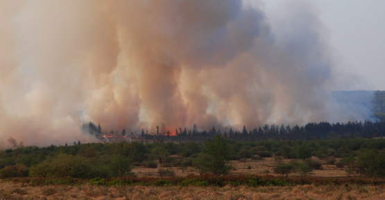 Incendie des Hautes Fagnes