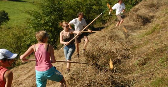 Volontaires en action dans une réserve