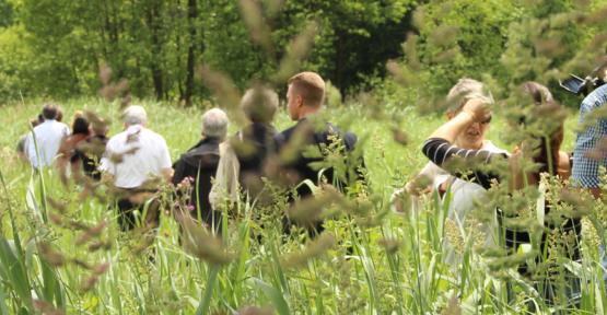 Groupe en balade