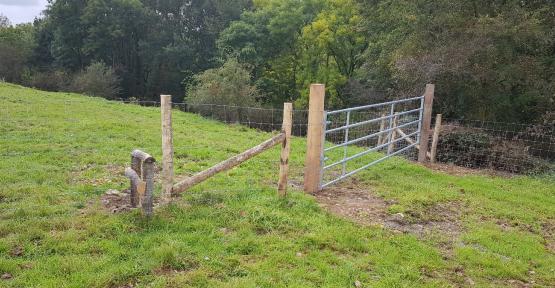 PwDR : remplacement de clôtures sur les réserves naturelles de la Brouhire et du Thier à la Tombe 