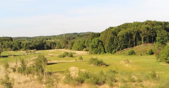 Réserve des Fouches 