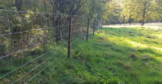 Remplacement de clôtures sur le site de Derrière les Massottes à Bassenge
