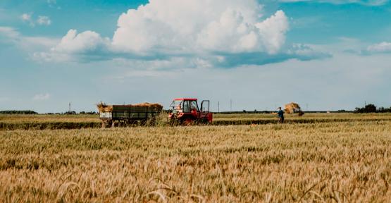 L’agriculture, enjeu majeur de la biodiversité en Wallonie