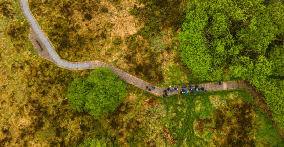 Wetlanders header - Griston Bog