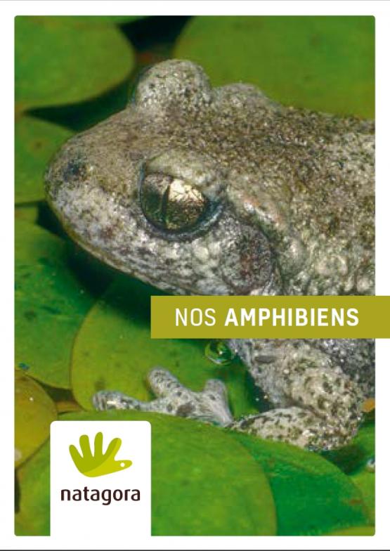 Couverture de la publication nature 11 - Brochure Espèce: nos amphibiens