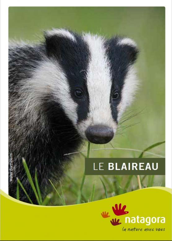 Couverture de la publication nature 2 - Brochure Espèce: le blaireau