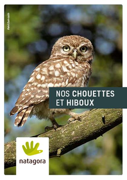 Couverture de la publication nature 4 - Brochure Espèce: nos chouettes et hiboux