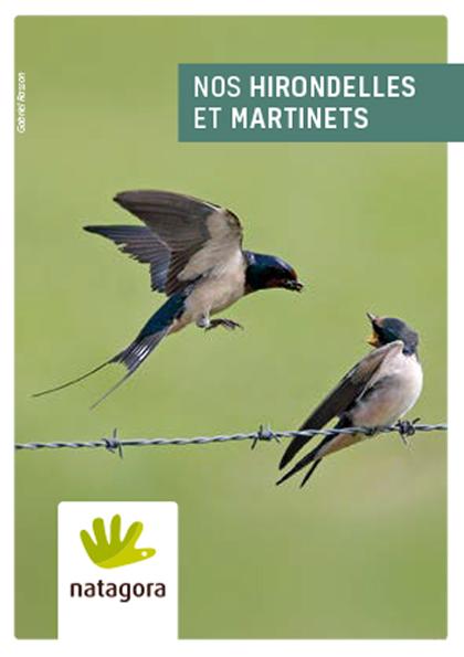 Couverture de la publication nature 5 - Brochure Espèce: nos hirondelles et martinets