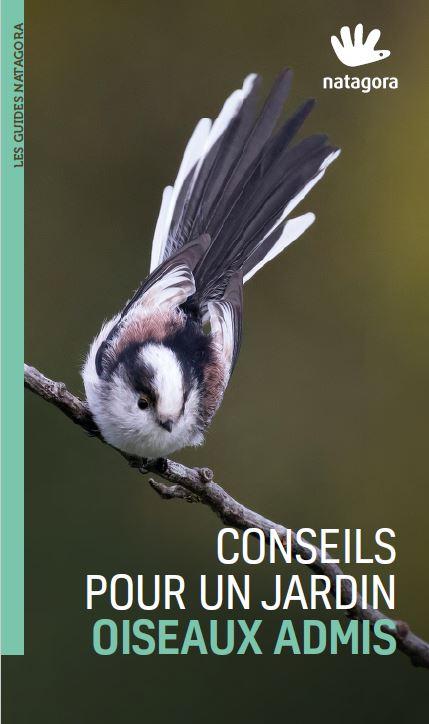 Guide: conseils pour un jardin oiseaux admis