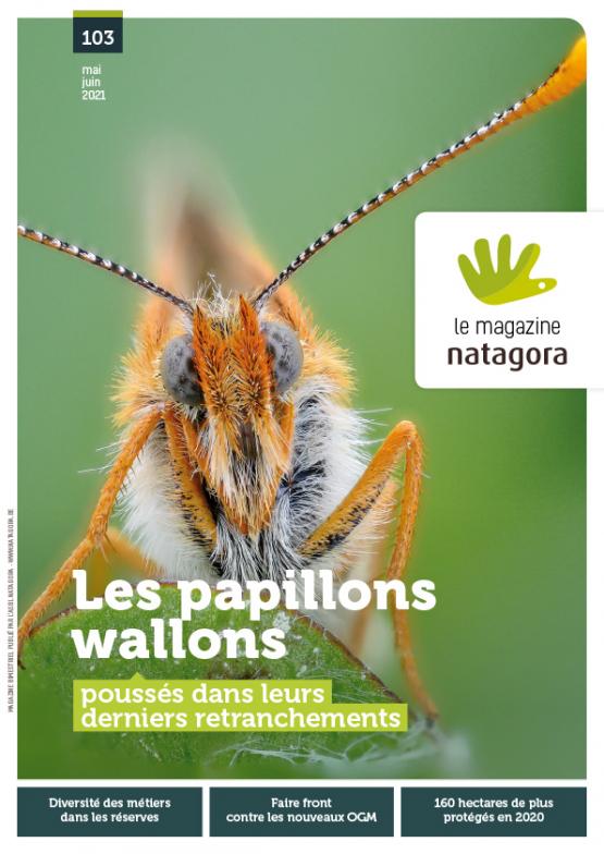 Couverture du magazine 103 (papillons)