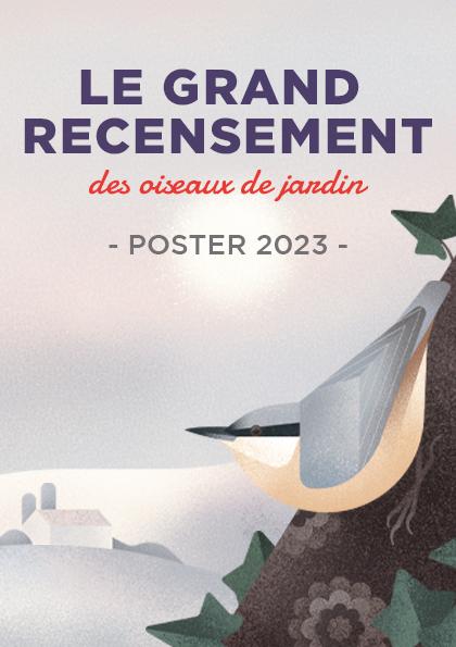Poster: oiseaux