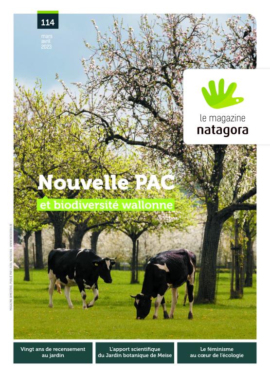 Couverture du magazine 114 (vaches dans un vergé) 