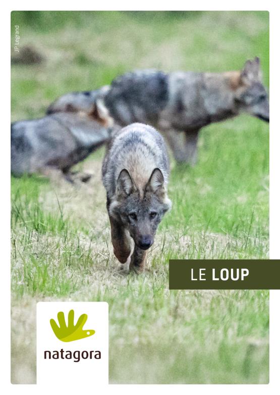 Couverture de la brochure "Le loup"