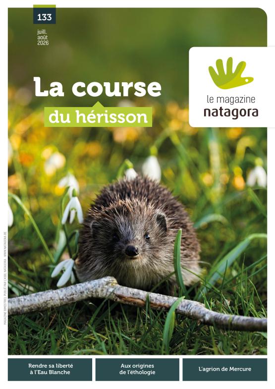 Couverture du magazine Natagora 133