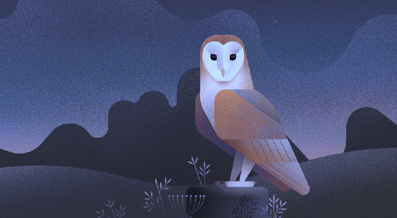 Nuit des Chouettes