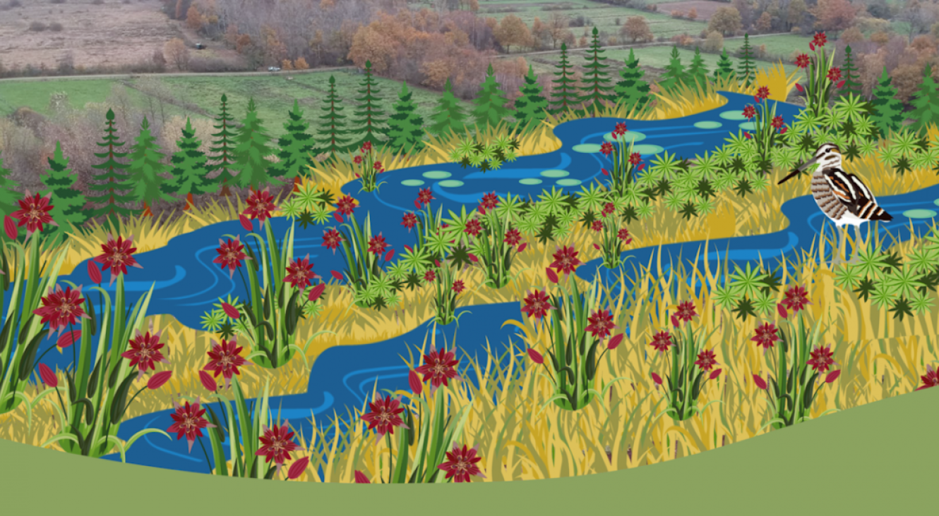 Visuel de la campagne #RestoreNature