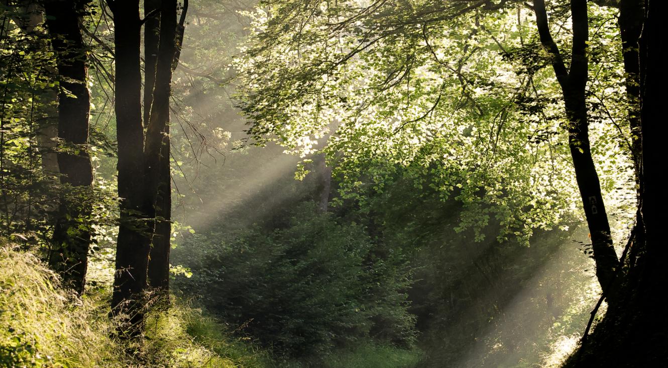 Formations Nature de Natagora - @Benjamin Legrain