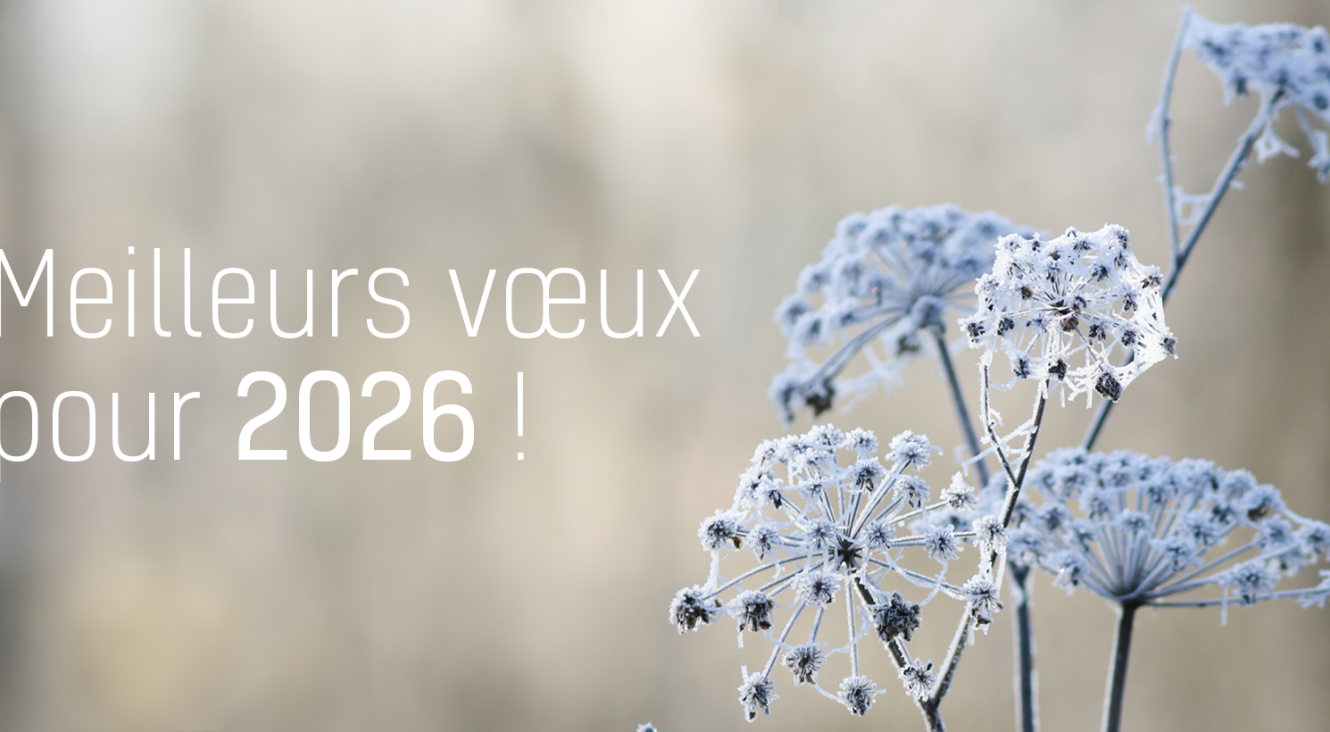 Meilleurs vœux pour 2026