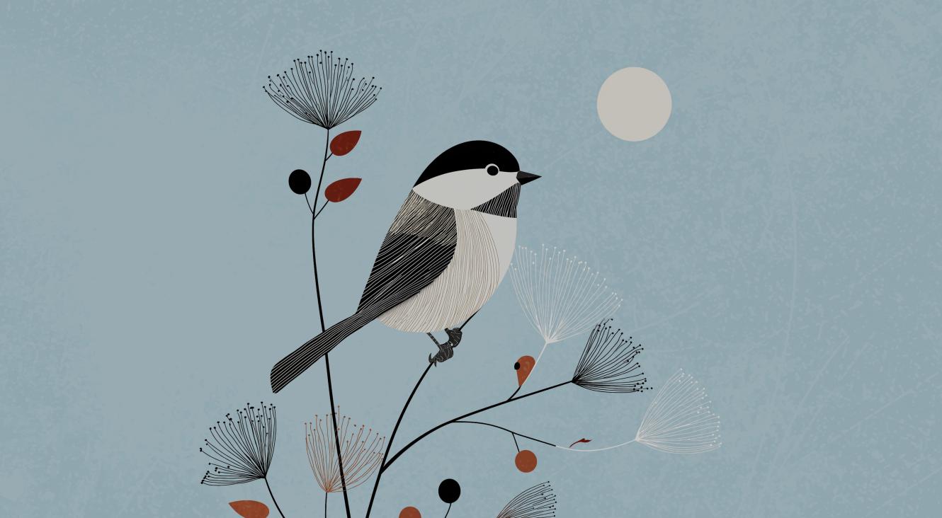 Grand recensement des oiseaux de jardin de Natagora.