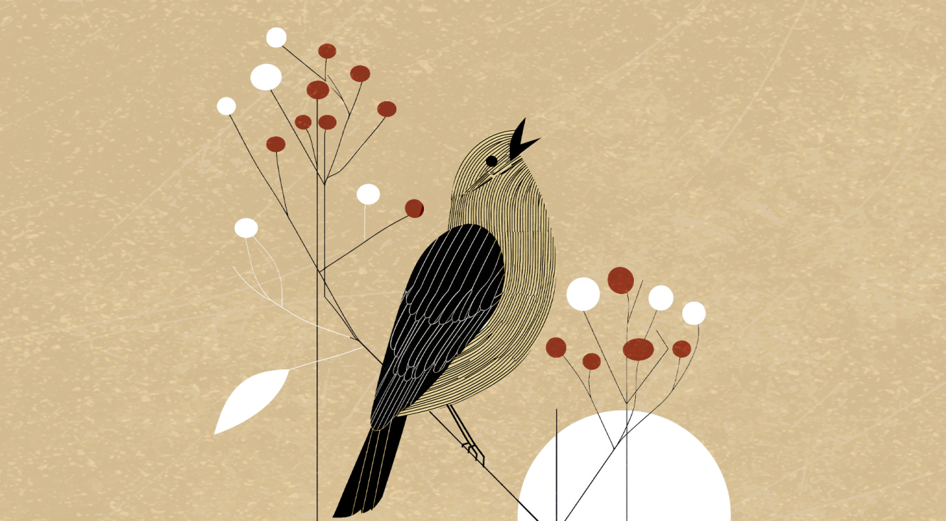 Dessin oiseau qui chante 