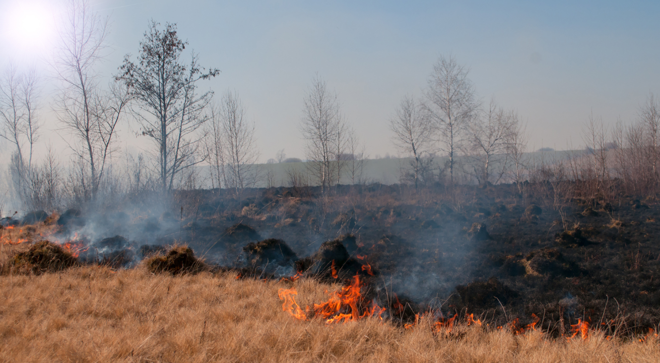 Fagnes en feu