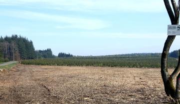 Terrain vide, labellisé PEFC.