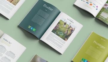 Rapports annuels ouverts sur plusieurs double pages 