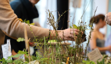Bourse aux plantes sauvages 2025