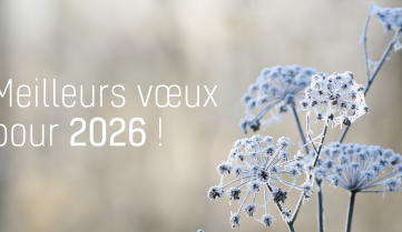 Meilleurs vœux pour 2026