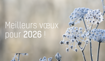 Meilleurs vœux pour 2026