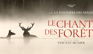Affiche du film "Le chant des forêt" de Vincent Munier