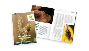 Couverture du magazine Natagora 131