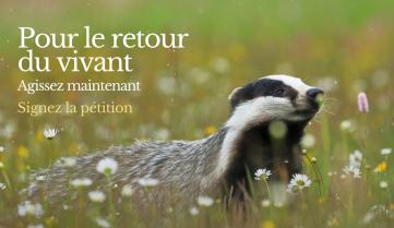 Pour le retour du vivant