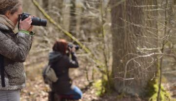 Sorties sur le terrain