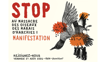 Massacre Harchies