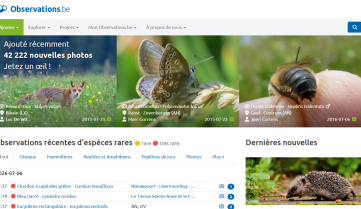 Vue sur Observations.be