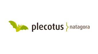 Logo Plecotus