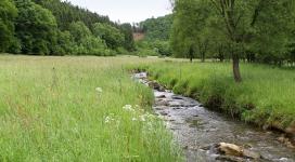 Fond de vallée avec ruisseau