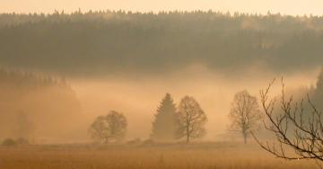 Pauysage de fagne sous la brume ambiance automnale