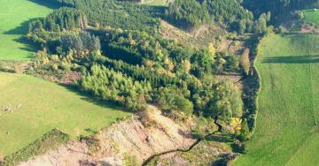 ruisseau serpentant à travers le paysage vu du ciel