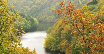 Paysage rivière automne arbres